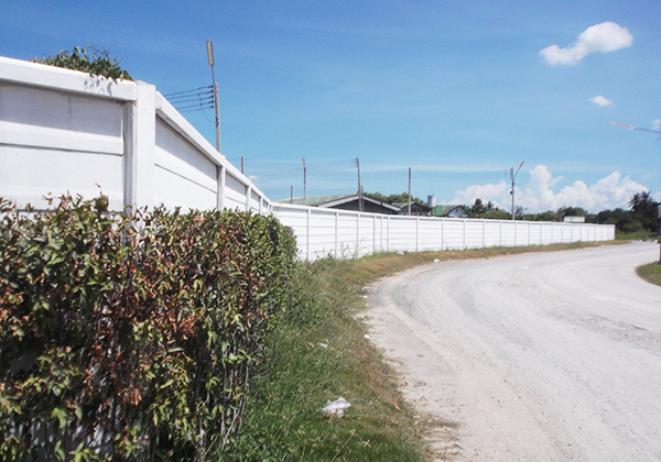 ตรีพฤกษ์ (ไมด้า)